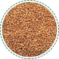 Buckwheat groats of the highest grade 25 kg